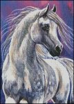 (image for) Wild Spirit